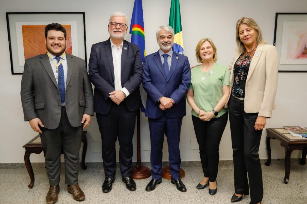 Leia mais sobre o artigo SBD participa de reunião com senadores para discutir PL que classifica o diabetes mellitus tipo 1 como deficiência